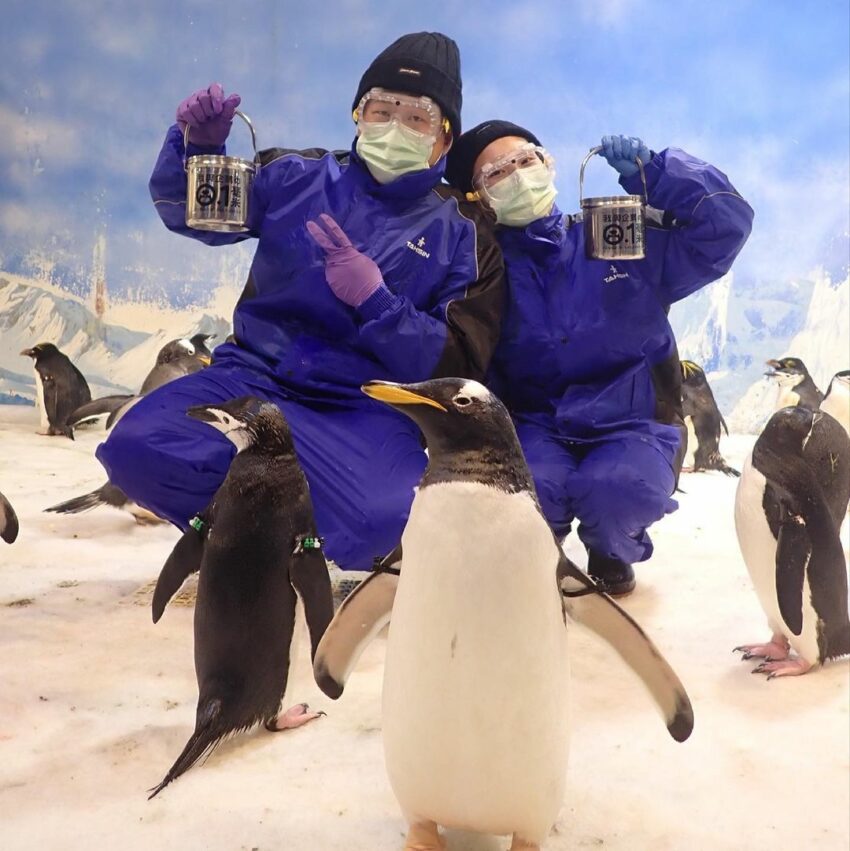 屏東海生館 企鵝飼育照護體驗